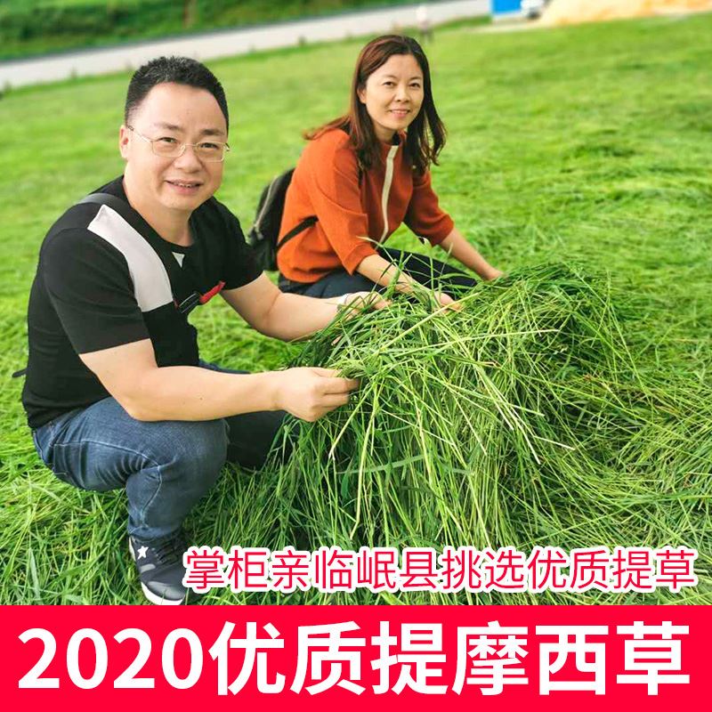 Timothy Grass Rabbit Grain Dry Grass Dragon Cat Grass Timui Rabbit Dutch Pig Grass Grain feed Timosigrass