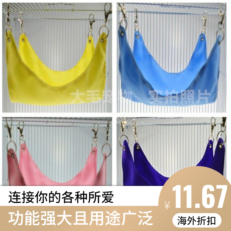 Hanging Hanging Dragon Squirrel Hanging Hanging Hanging Hanging Hanging Hanging Hanging Hanging