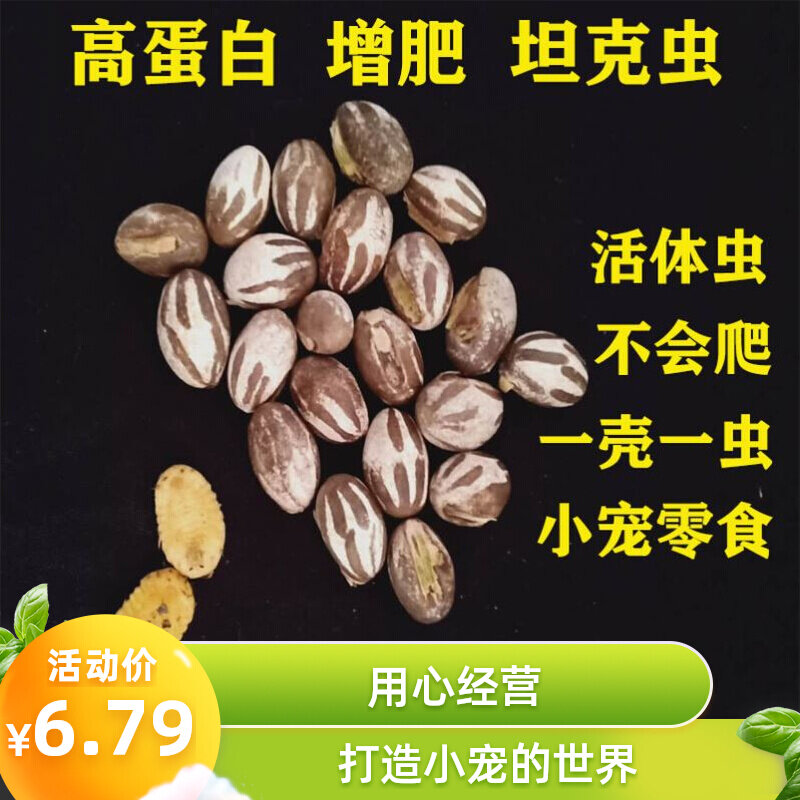 High Protein Tank Worm Faturing Honey Bag Squirrel Hamster Hamster Zero Food Golden Silk Bear Magic King Snowy Hedgehog Food