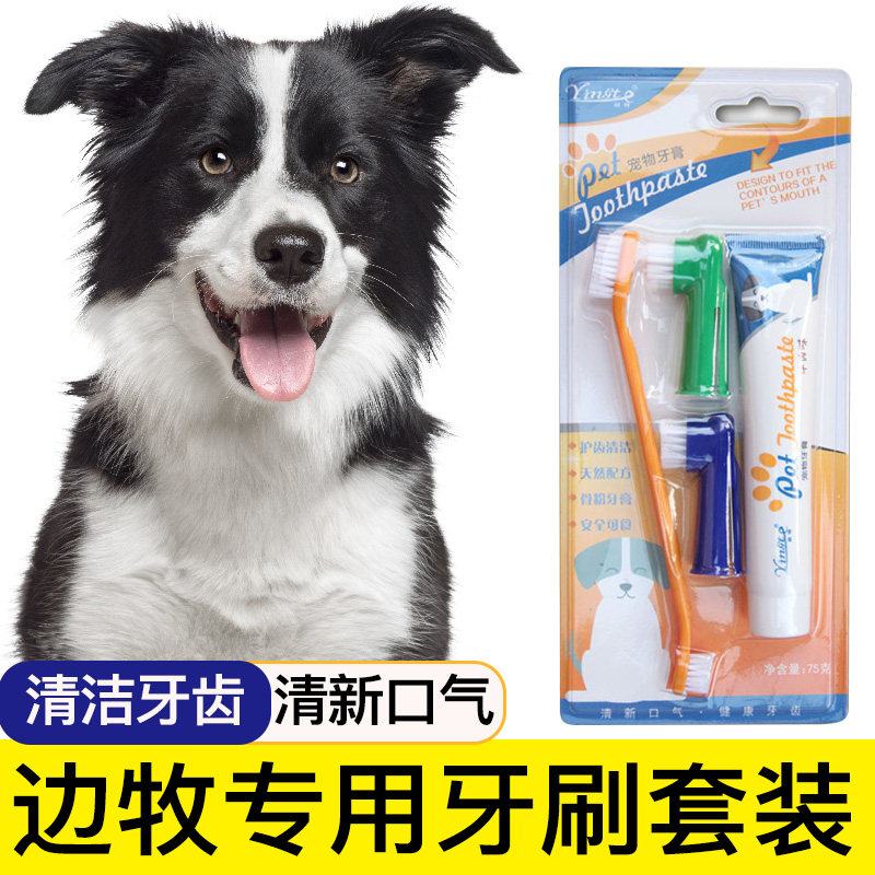 Border collie special dog toothbrush pet toothpaste set brushing cleaning supplies oral tooth appliance finger set