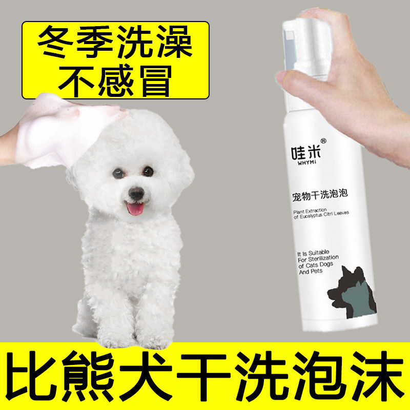 More than a bear dog dry cleaning foam puppies free of washing and deodorant aromas Poggy puppies Dry cleaning powder Pets Pet lotion for the breast