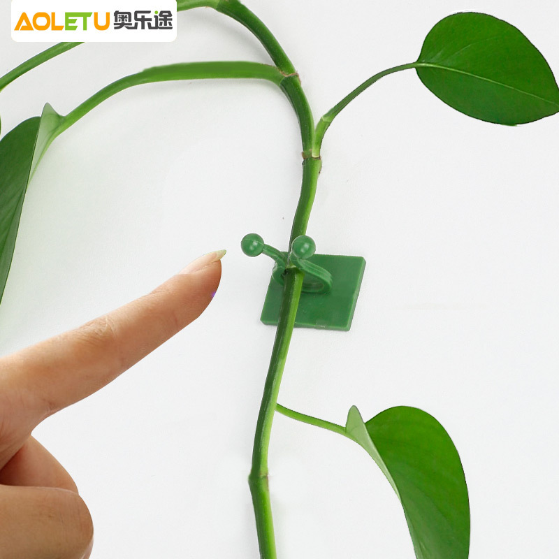 Green Plant Wall Climbing Clips, Non-Marking Hooks That Don'T Damage Walls, Strong Adhesive Wrap-Around Fasteners