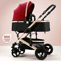 Местный тиран Золотой драгоценный камень красное заднее колесо резина