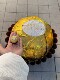 2026 New Model of Urban Landscape Decoration and Installation Art: Street Stone Blocks Transformed into Plush Lion Decorations