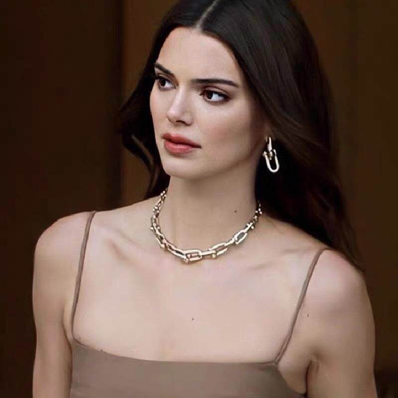 Necklace Chain Chain Hip Hop Simple ins Women's Tide European and American Neck Refining Exaggerated Light Luxury Personality U-shaped Net Red Year