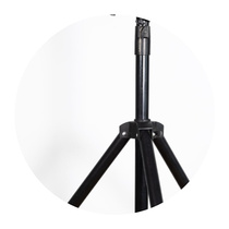 Stand-up horse-head piano stand standing piano stand