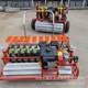 Hand-pushed six green vegetable spreader fragrant machine pineapple vegetable seeds yellow and white essence perilla on demand