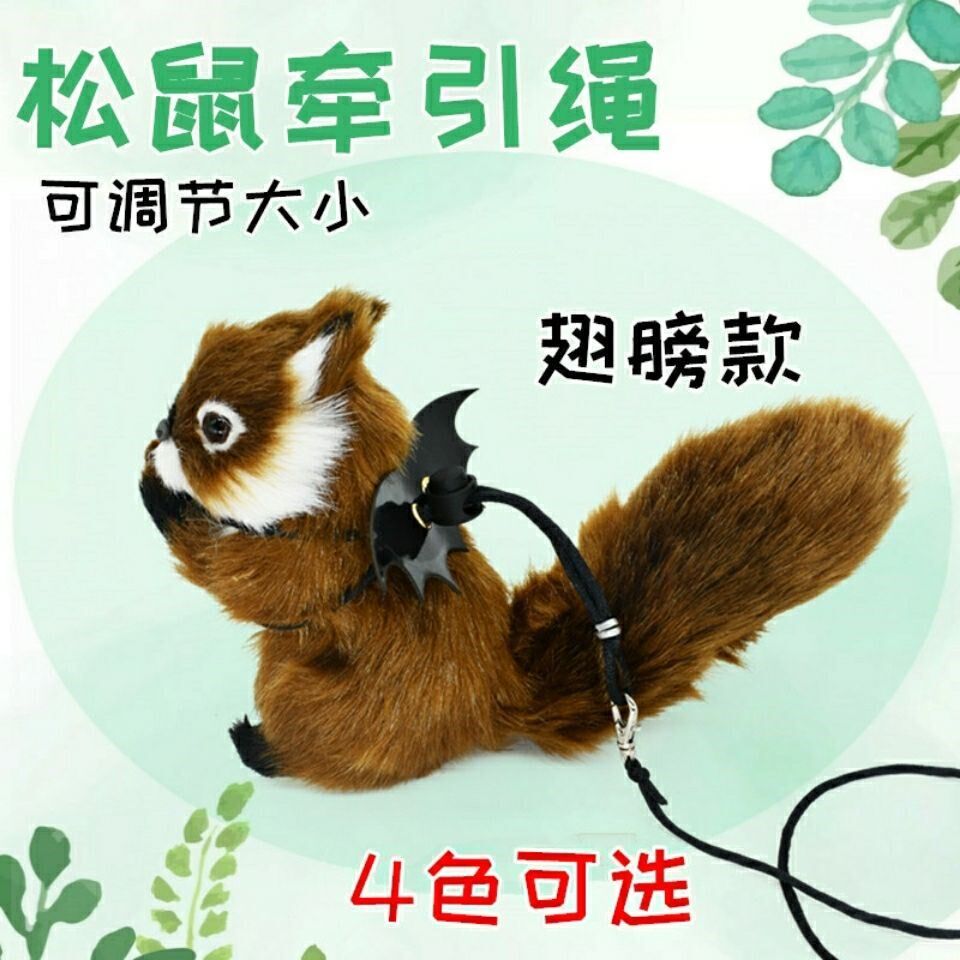 Squirrel traction rope holding baby bag two-piece anti-bite honey bag guinea pig groundhog chain neck hamster go out rope