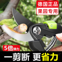 German scissors for cutting branches fruit tree pruners flowers household garden scissors thick branches labor-saving flower and tree scissors