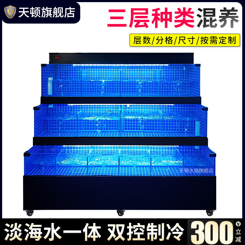 Seafood & shellfish display tank - restaurant grade mobile seafood tank ...