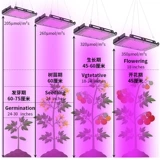 Светодиодный заполняющий свет, лампа для растений на солнечной энергии, комфортный световой спектр