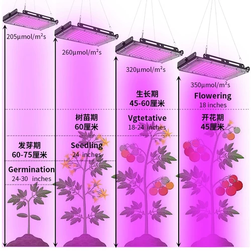 Светодиодный заполняющий свет, лампа для растений на солнечной энергии, комфортный световой спектр