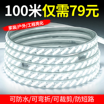 Super bright COB light strip led outdoor waterproof breeding site lighting white light project lighting 220V household soft light strip