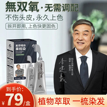 Fruit Dye Cream Hair Dresser yourself at home dyed hair cream Natural No Stimulation Hair Dye Pure plants