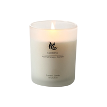 Frosted white cup aromatherapy candle for home bedroom with romantic atmosphere gift for girls and friends niche high-end souvenir