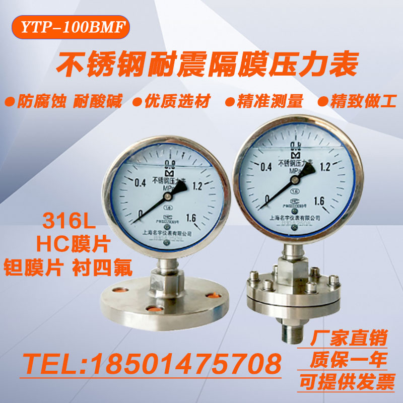 MF Stainless Steel Shock Resistant Diaphragm Pressure Meter Flange Pressure Meter ML1 6mpaYTP-100DN25DN50