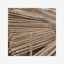 Pine wood piles fir wood piles river piling wood greening support poles larch pitch pine outdoor flood control leather log piles