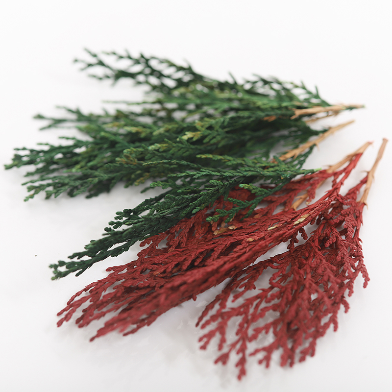 Cranberry Pine Berry Leaf DIY fragrant candle Yongsheng Dried Flowers Green Dotted With Branches 2 gr Clothing