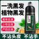 同仁堂天然染发剂男女一洗黑植物无刺激官方正品自然黑不沾头皮