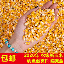 Fishing Corn Beat Nest Stock Bait Bait Fish Food Corn Grain Feeding Chicken Fed Pig Dove Grain Corn Grain Feed