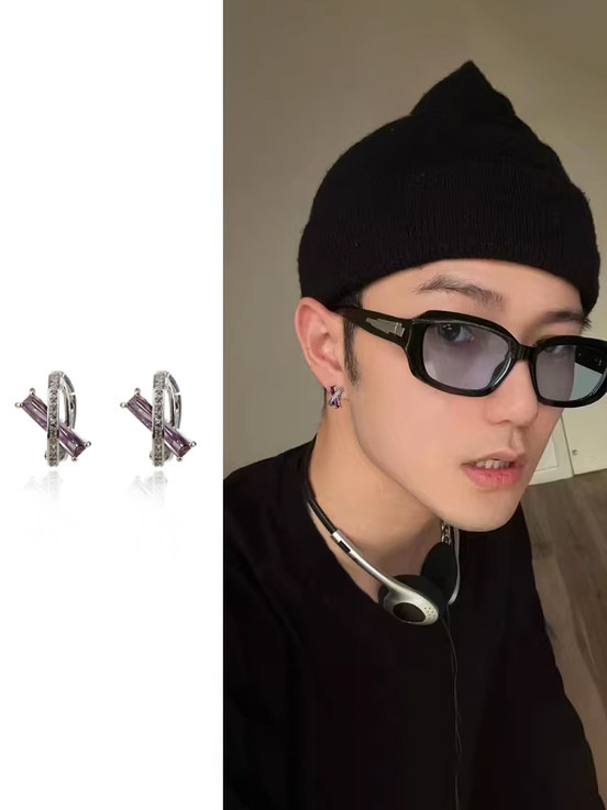 Earrings for Men, Niche Design, High-End Minimalist Style, Men's Stud Earrings, Cool and Unique Personality, Purple Men's Ear Jewelry