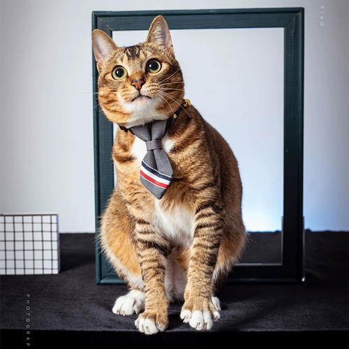 Галстук, безопасный чокер, колокольчик, галстук-бабочка с бантиком, кот