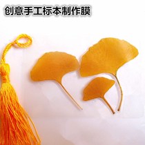 Specimen making tool (creative specimen film) manual class leaf transparent film photo plastic seal bookmark plastic seal film