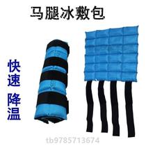 Relief {horse horse cooling and lowering horse legs with ice bag tendon fatigue and ice packing sports horse leg horse toy