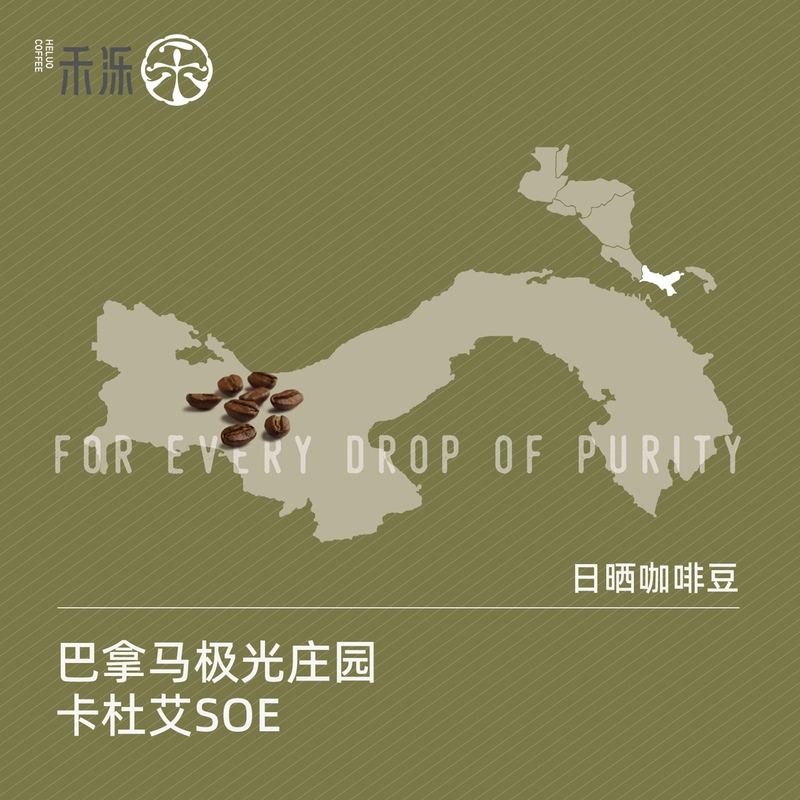 Panama Aurora Manor Caduay Soe American Latte Coffee Can Be Ground into Powder and Roasted to Order by He Lu Coffee Panama Aurora Manor Caduay Soe American Latte Coffee Can Be Ground into Powder and Roasted to Order by He Lu Coffee