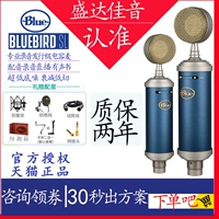 Logitech Bluebird Sl Blue Bird Advanced Microphone Mobofone Mobile Voice Card Live Special Murse