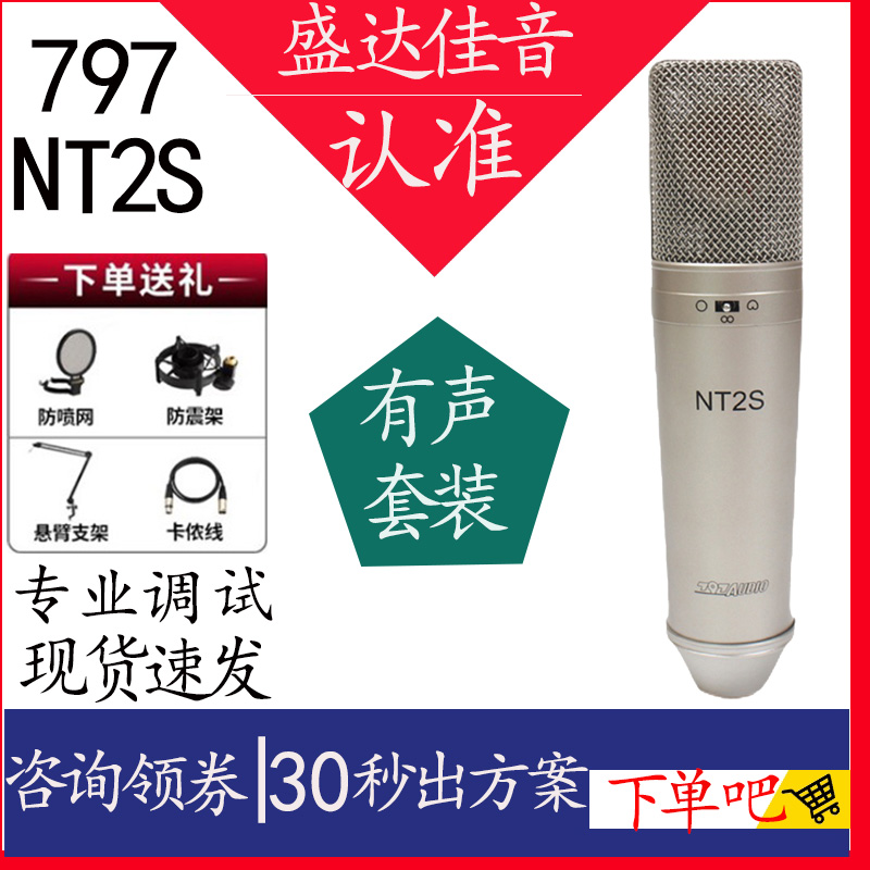 Beijing 797 NT2S Professional Recording Large Diaphragm Dubbing Book Recording Condenser Microphone Multi-pointing Studio Microphone - Taobao