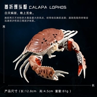 Лапша Хлеб Краб