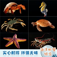 6 модели морских креветок и крабов