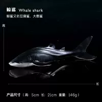 Китовая акула