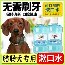 Sausage Dog Special Dog Toiletries Mouthwash Oral Cleaner Thedog Can Drinkable Mouth Smell Clear Tooth Scale To Calculus