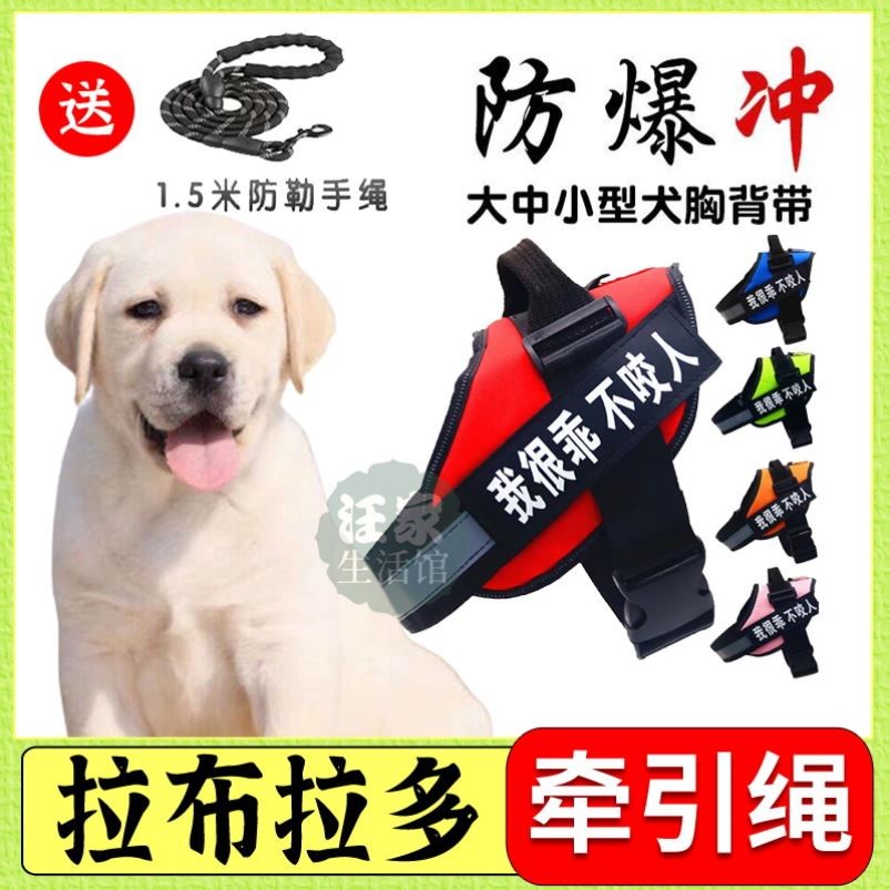 Labrador special dog chest baby bag vest outside leash adjustable small dog chain medium dog