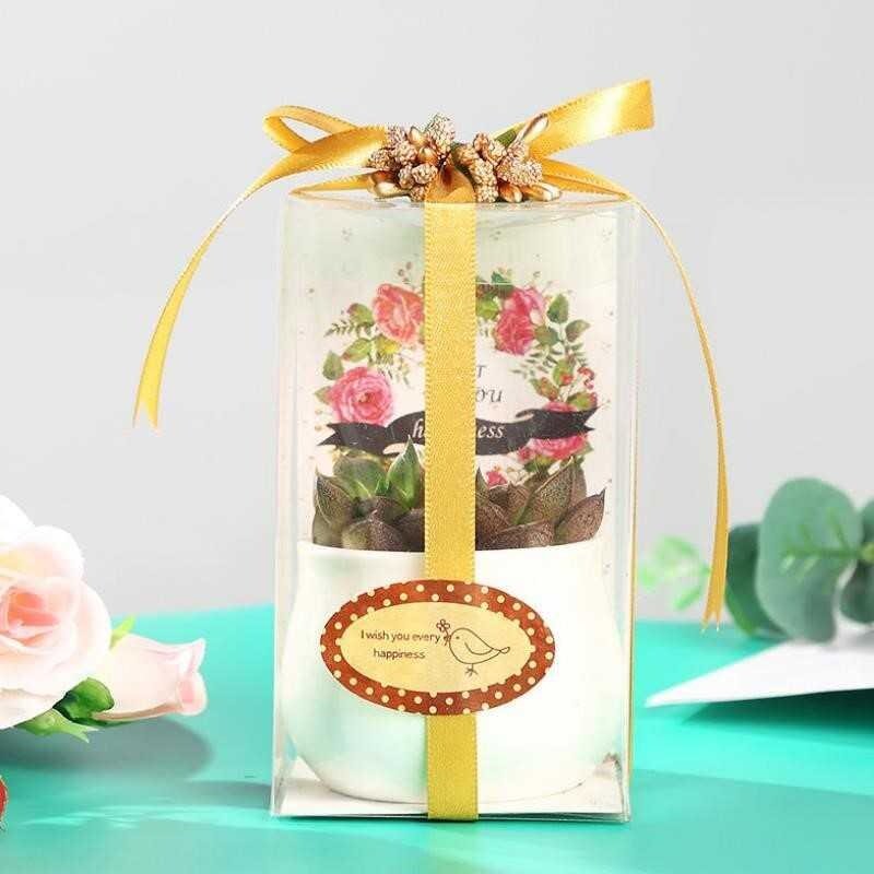 Small potted plants with lots of meat to send birthday gifts to male classmates and friends, female girlfriends, creative and meaningful teachers' day to send teachers