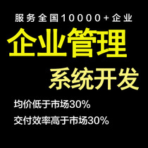 Enterprise management system project software CRM customer property real estate management platform app development small program customization