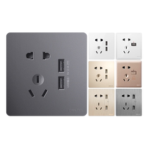 Delixi USB socket panel 5 five-hole porous with TypeC household type 86 concealed wall switch fast charging 224