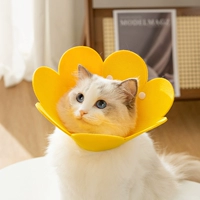 Locke желтый стиль