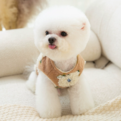 Двусторонний жилет, одежда для собак, осенне-зимняя флисовая куртка Тедди Бишон, померанский шпиц, маленькая собака, кошка, зимняя флисовая куртка