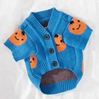 Синяя тыква