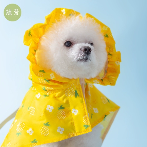 【Специальное очистка цен】】 Щенок Пейд-плащ