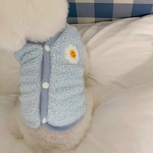 抹茶 Домашние животные осень и зимняя одежда для собак Весна и осенью