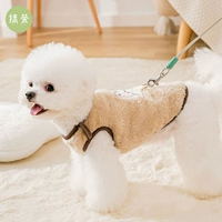 Собачья одежда, которую можно потянуть весной и осенне