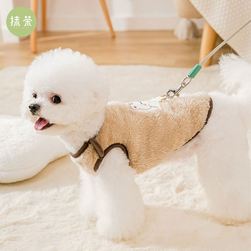 Собачья одежда, которую можно потянуть весной и осенне