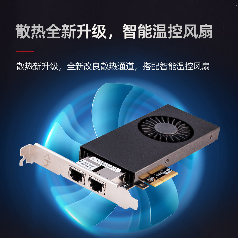 兮克SKN-2BT-M2混合卡双10G万兆电口网卡硬盘扩展，双盘位阵列转接板