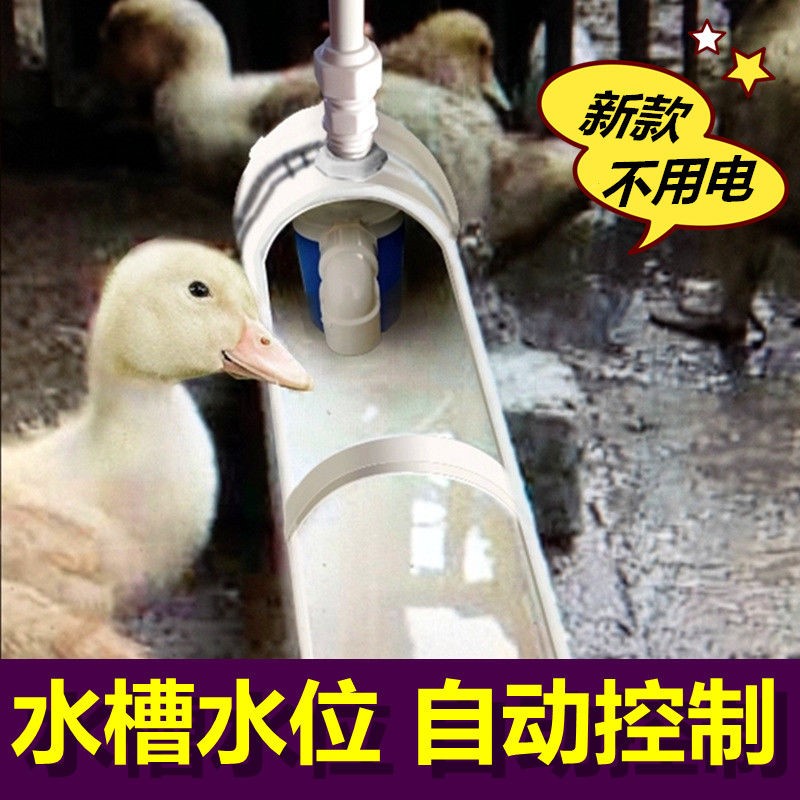 New Chickens Ducks Goose automatic water feeder Drinking water Ducks Water Trough Drinking Trough Cattle Sheep Equipment Breeding Supplies