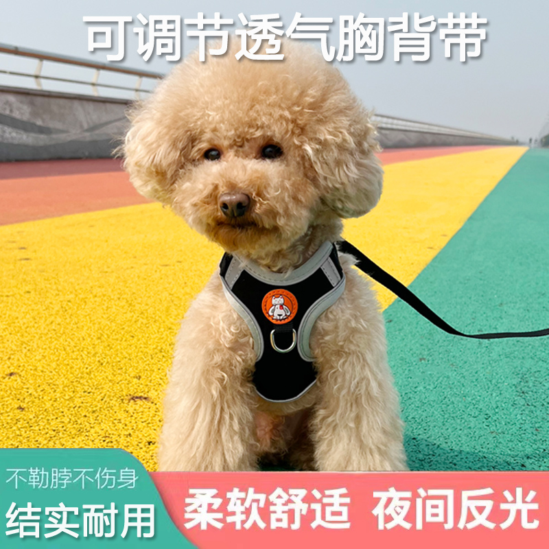 Dog traction rope small and medium dog teddy Bears Kumami Kochi Breast Cuddling puppies puppies Dogs Rope Vest Style