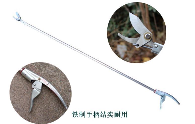 Tree-cut scissors long-handled high-branch cutting cutting tree trimming scissors long-handled high-branch cutting